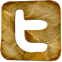 Twitter Icon